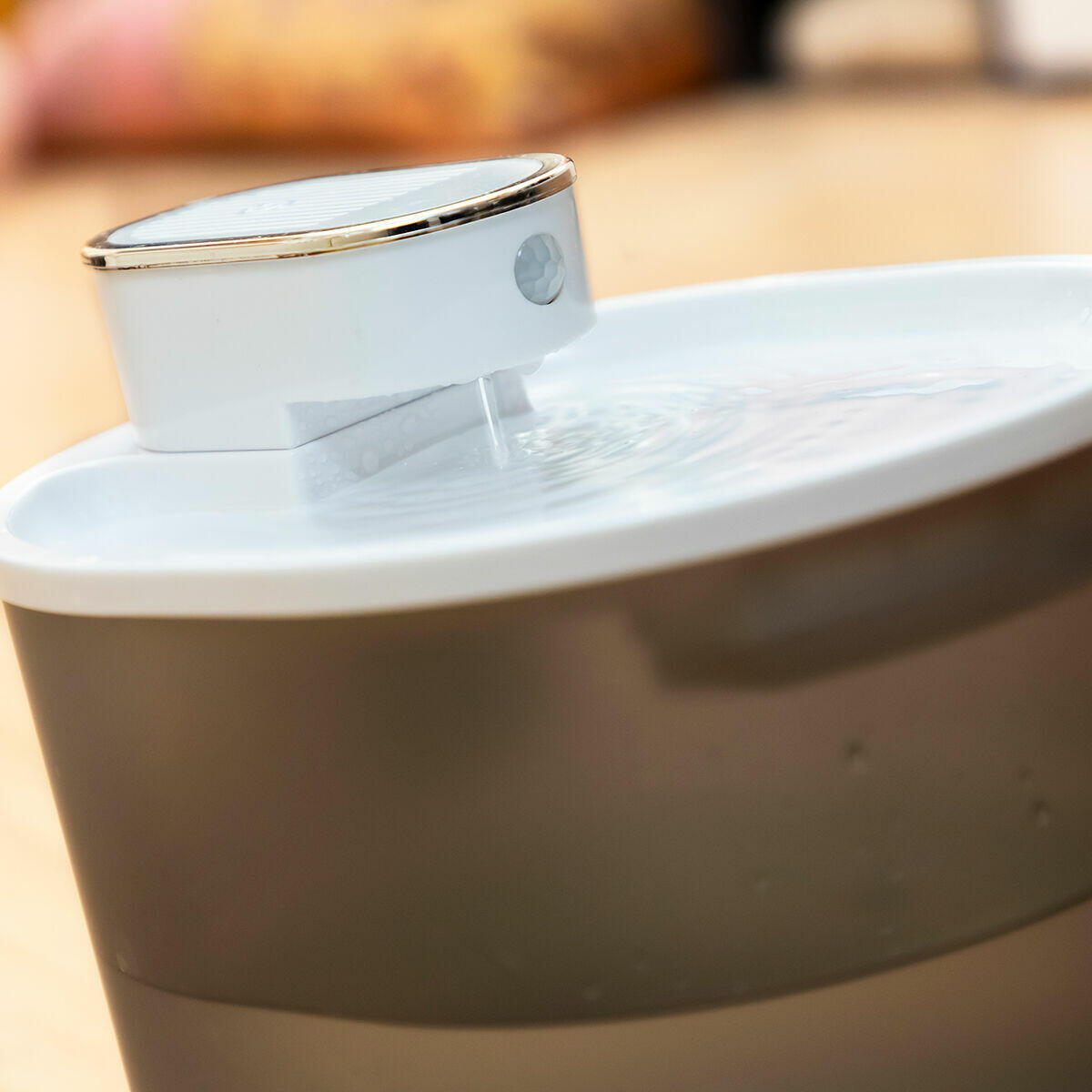 AquaPaw™ – Fuente Inteligente para Gatos